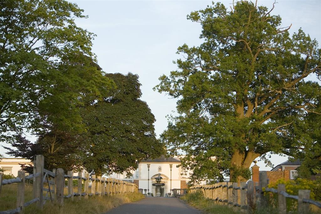 Гостьовий будинок Buxted Park Country House Екстер'єр фото